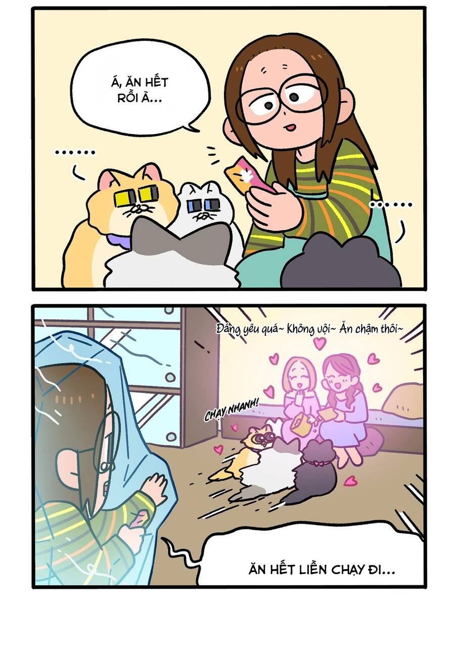 a mãn và mạch trà chapter 141.1 4