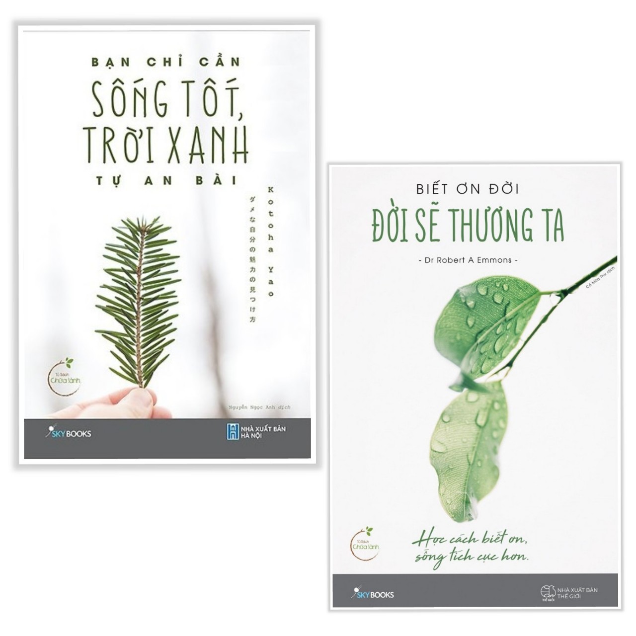 Combo sách chữa lành hay : Sống tốt trời xanh tự an bài + Biết ơn đời đời sẽ thương ta - Tặng kèm bookmark PD books