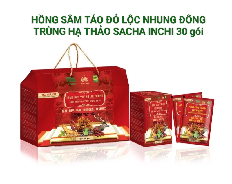 XÁCH HỒNG SÂM TÁO ĐỎ LỘC NHUNG ĐÔNG TRÙNG HẠ THẢO SACHA INCHI