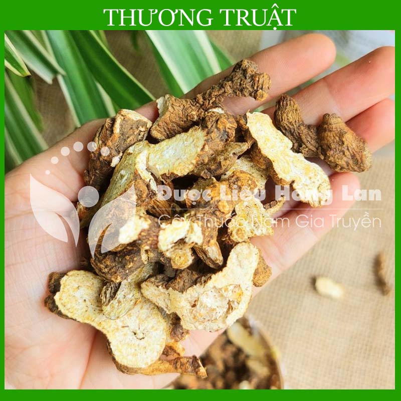 [THƯỢNG HẠNG] 100g Thương Truật khô đẹp loại 1