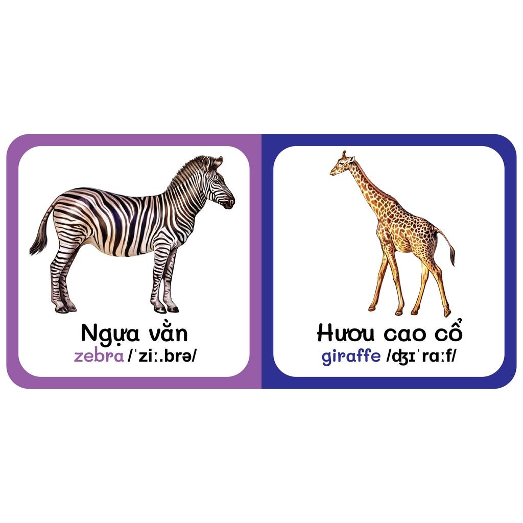 Sách - Baby'S First Picture Dictionary - Từ Điển Bằng Hình Đầu Tiên Của Bé - Động vật hoang dã - Wild Animals (Bìa Cứng)