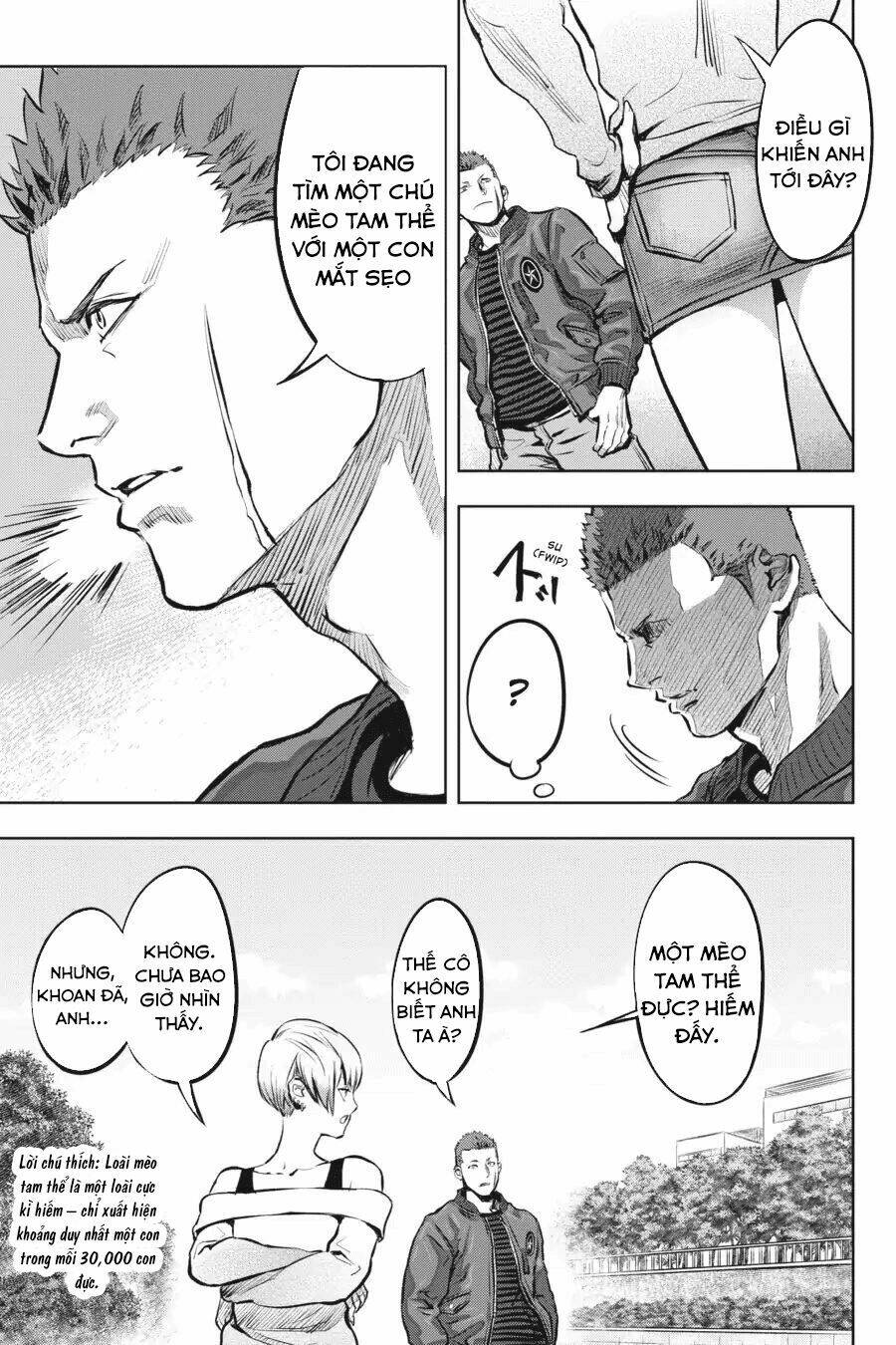 nyankees chapter 1 18