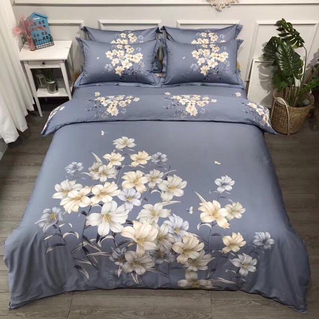Bộ cotton organic mẫu mới