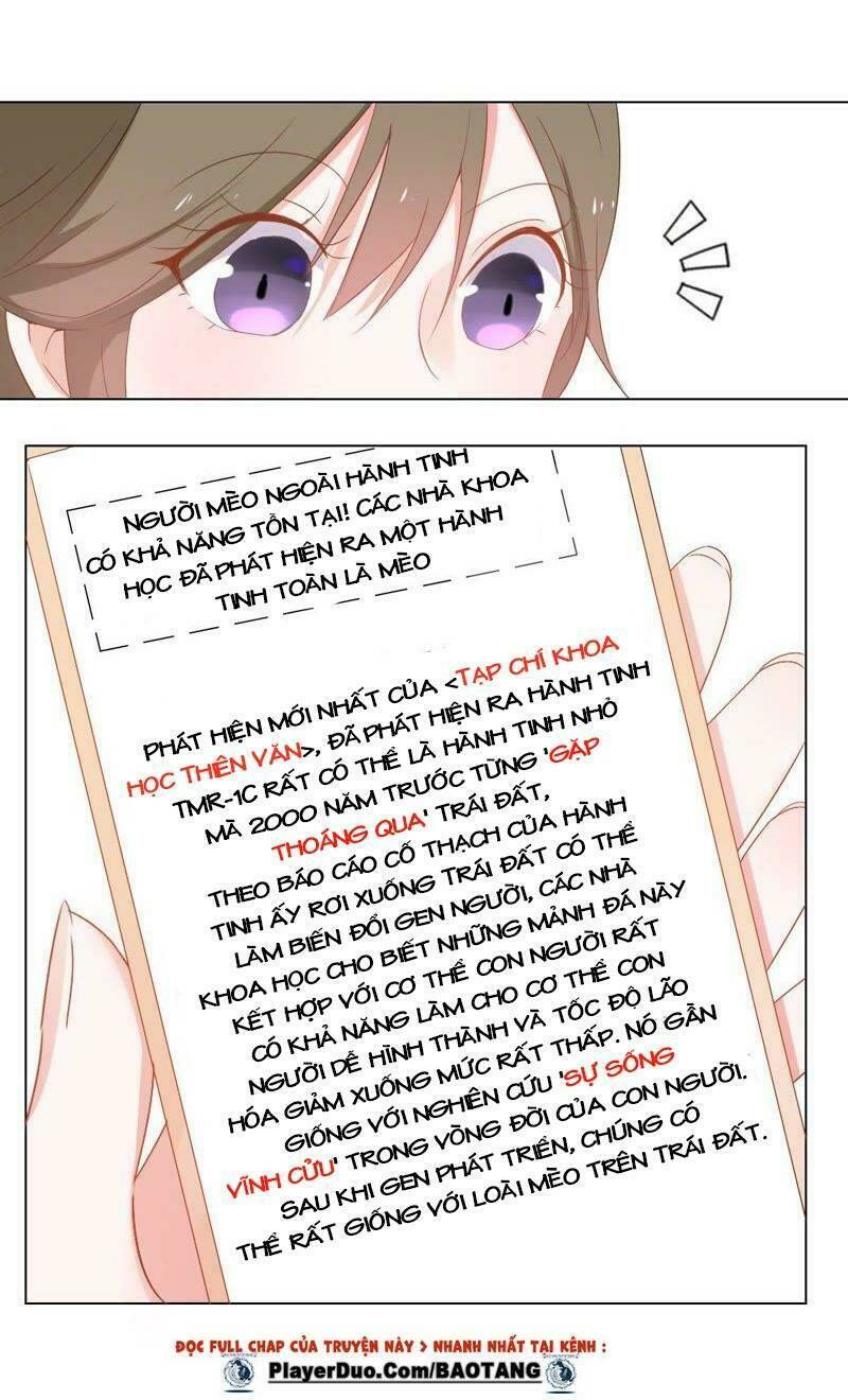 thập nhị hắc miêu chapter 2 24