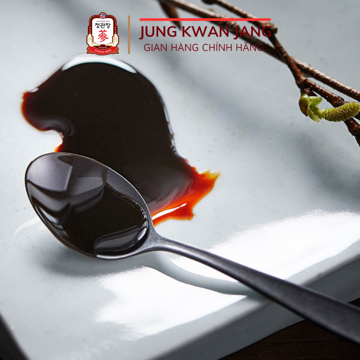 Tinh Chất Hồng Sâm Cô Đặc KGC Jung Kwan Jang Global Extract (30g) - Cao Hồng Sâm Hàn Quốc