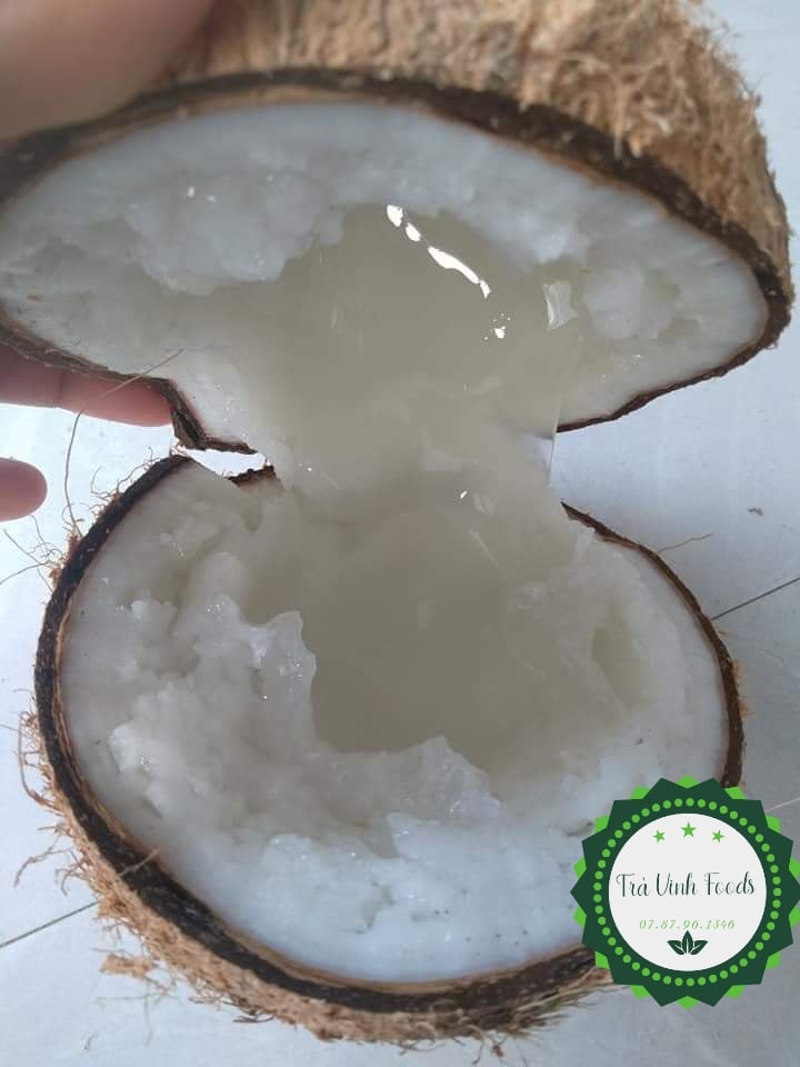 Dừa Sáp Cầu Kè Trà Vinh Loại 1 Cơm Dày Nước Kẹo Size Nhỏ