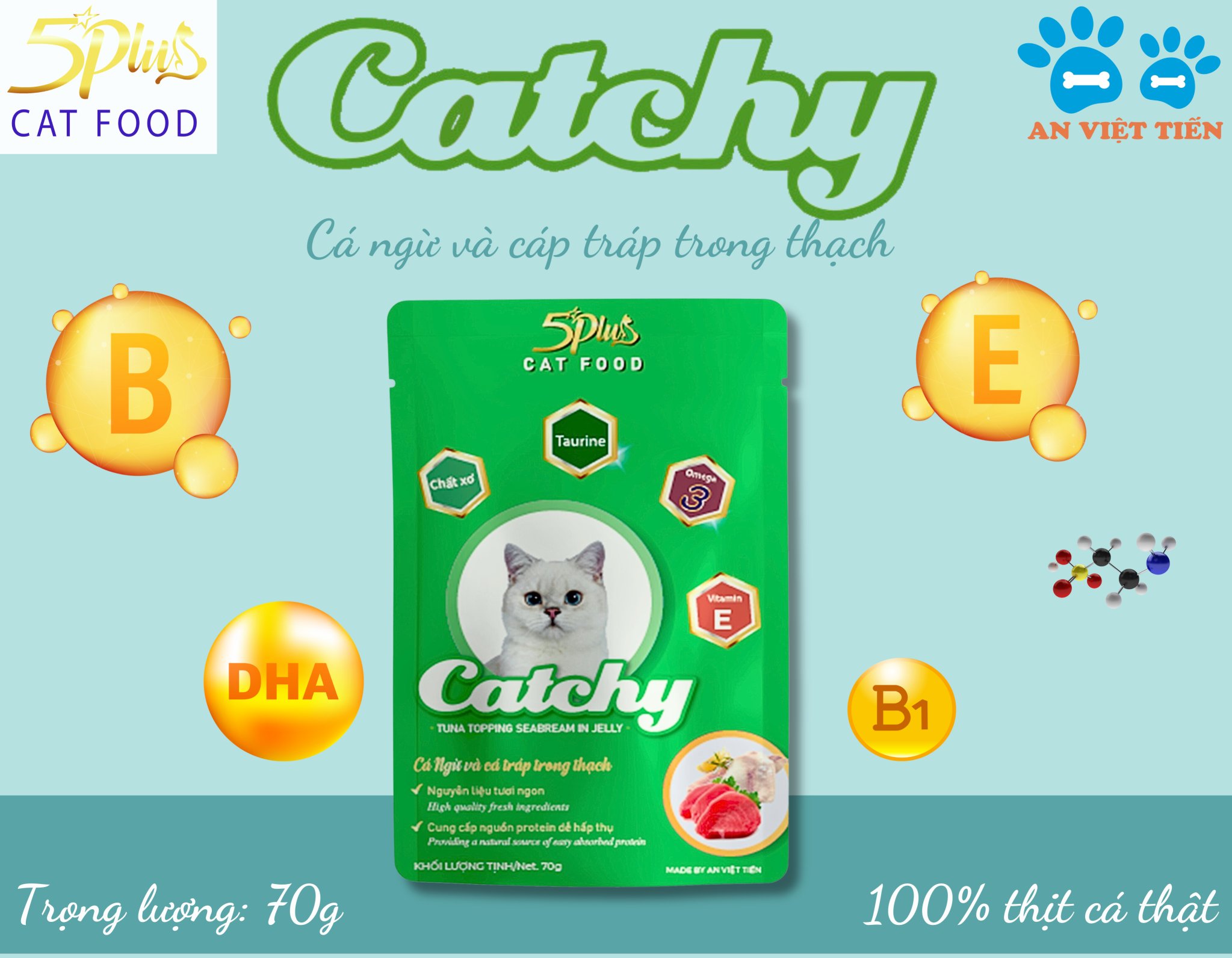 Pate cho mèo mọi lứa tuổi CATCHY 5PLUS CAT FOOD _ THÙNG 48 túi 70g mix vị