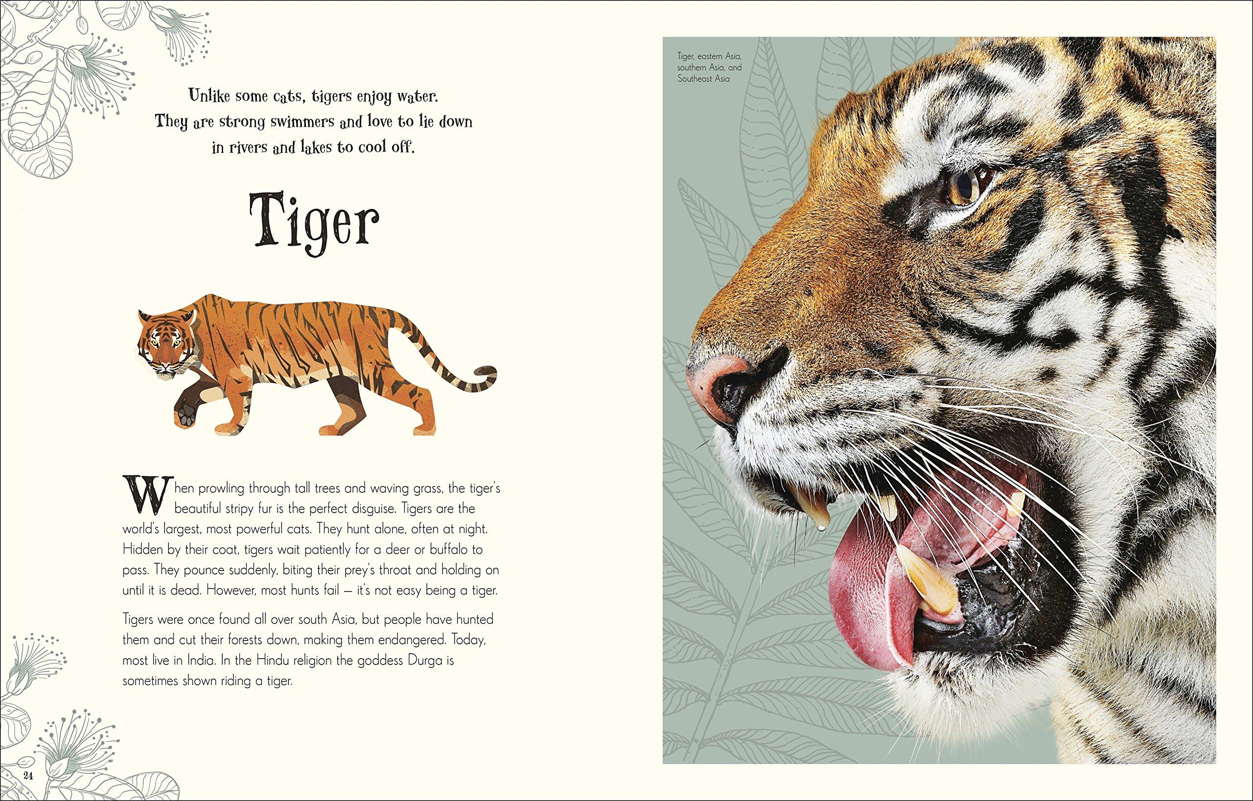 An Anthology of Intriguing Animals