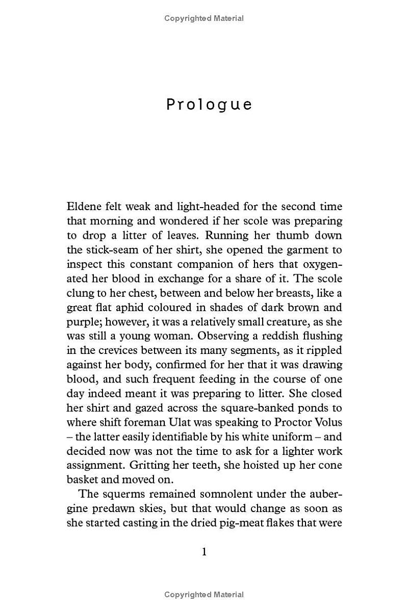 Sách ngoại văn: The Line Of Polity