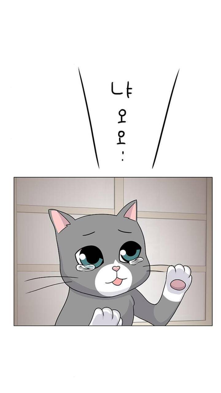 idol và sếp, em yêu ai? chapter 91 41