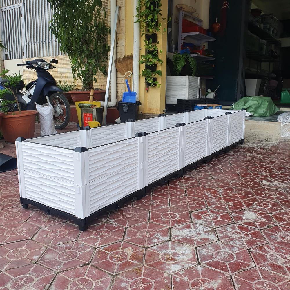 Chậu nhựa lắp ghép.Kích thước 50x250 cao 39 cm.Trồng rau, hoa, cây cảnh.Sang trọng - Thẩm mỹ - Bền hơn 10 năm.Bảo hành 1 năm toàn quốc