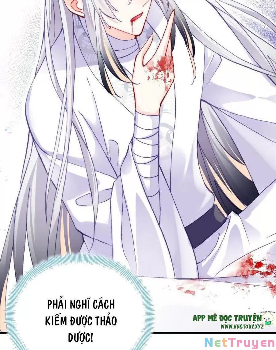 lại bị bệnh chiều chuộng quấn lấy chapter 69 41