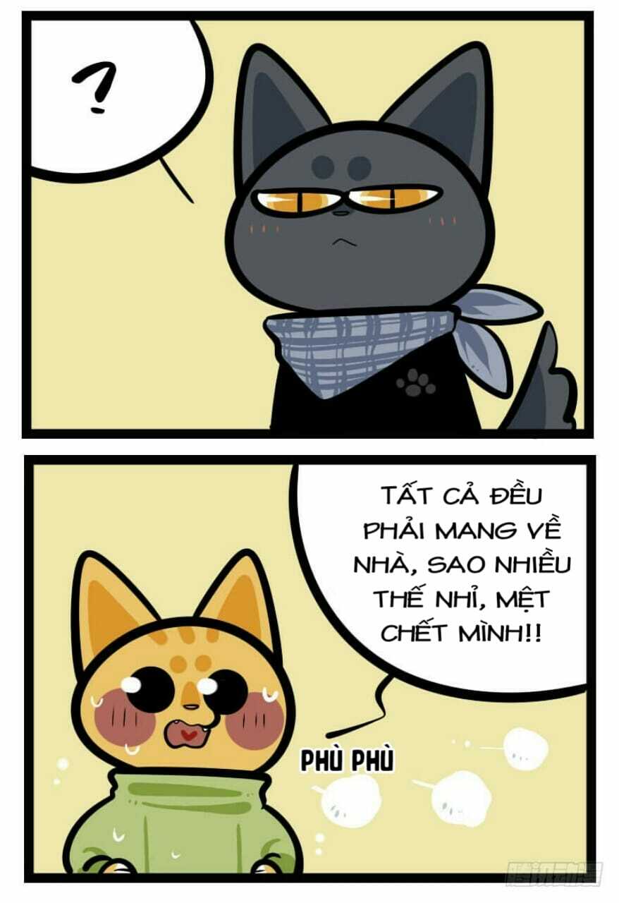 đời không như mình tưởng chapter 22 3