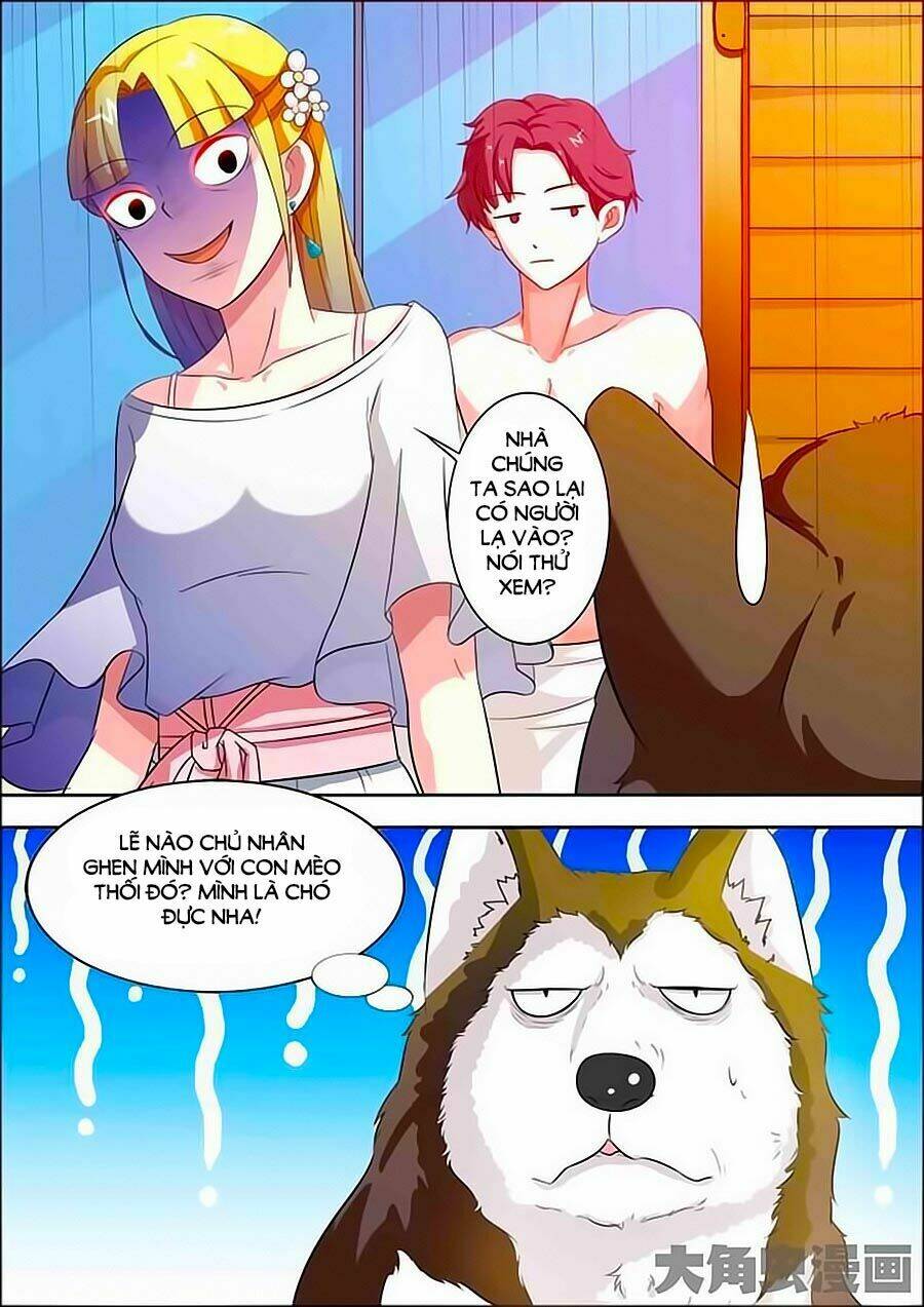 mau lấy con mèo đó ra chapter 18 9