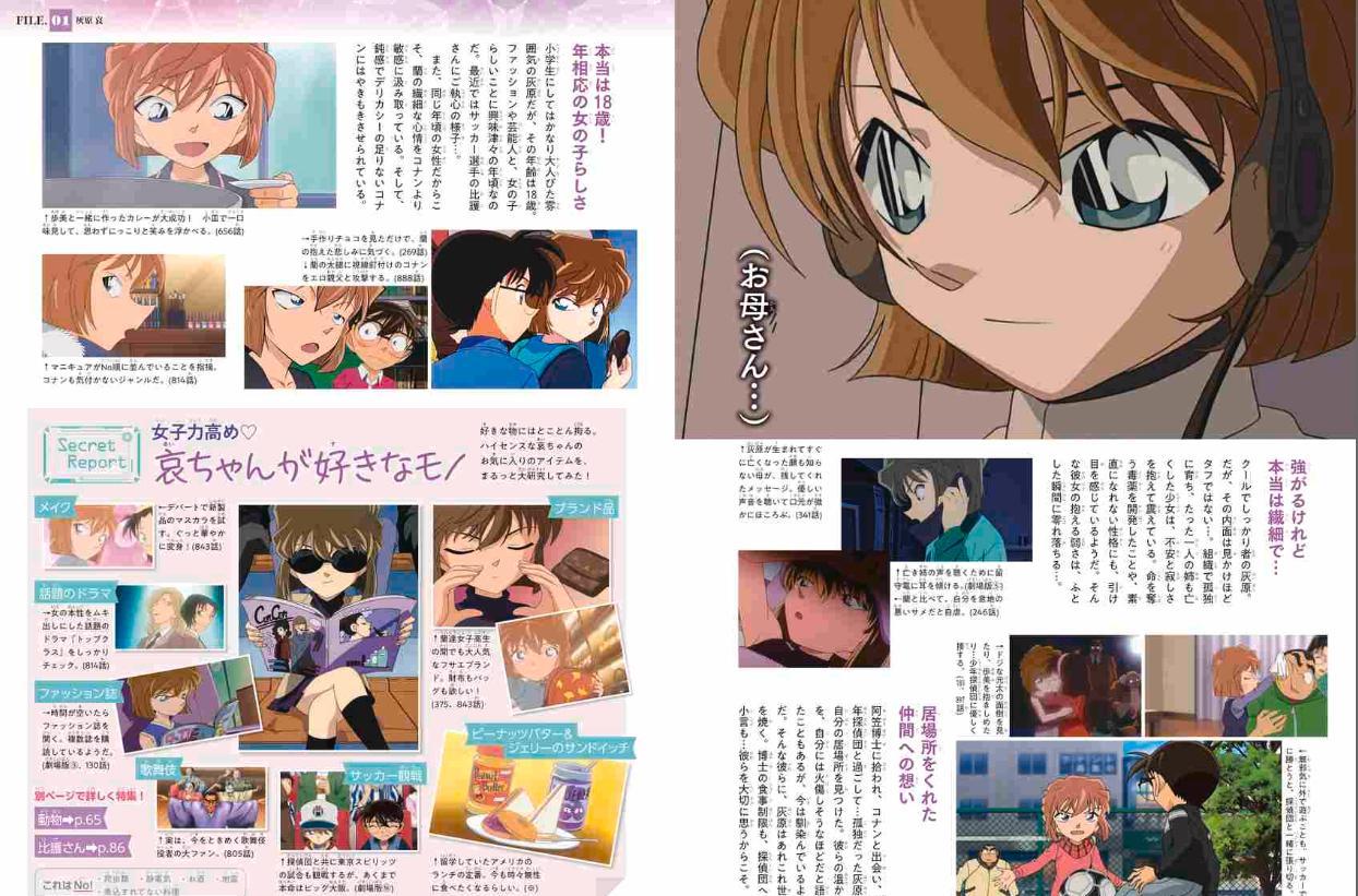 Detective Conan: Secret Archives Ai Haibara (Japanese Edition)
