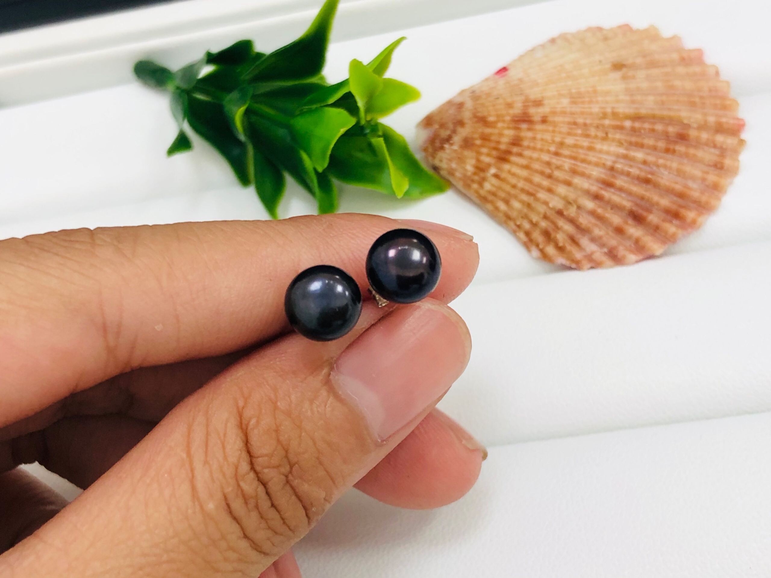 Hoa tai nụ ngọc trai thật sang trọng - món quà ý nghĩa