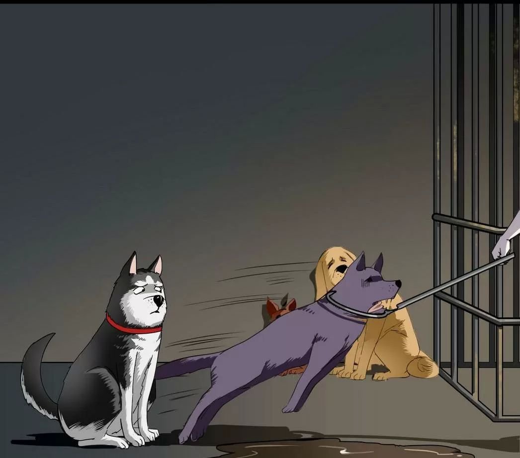 một con chó chapter 58 2