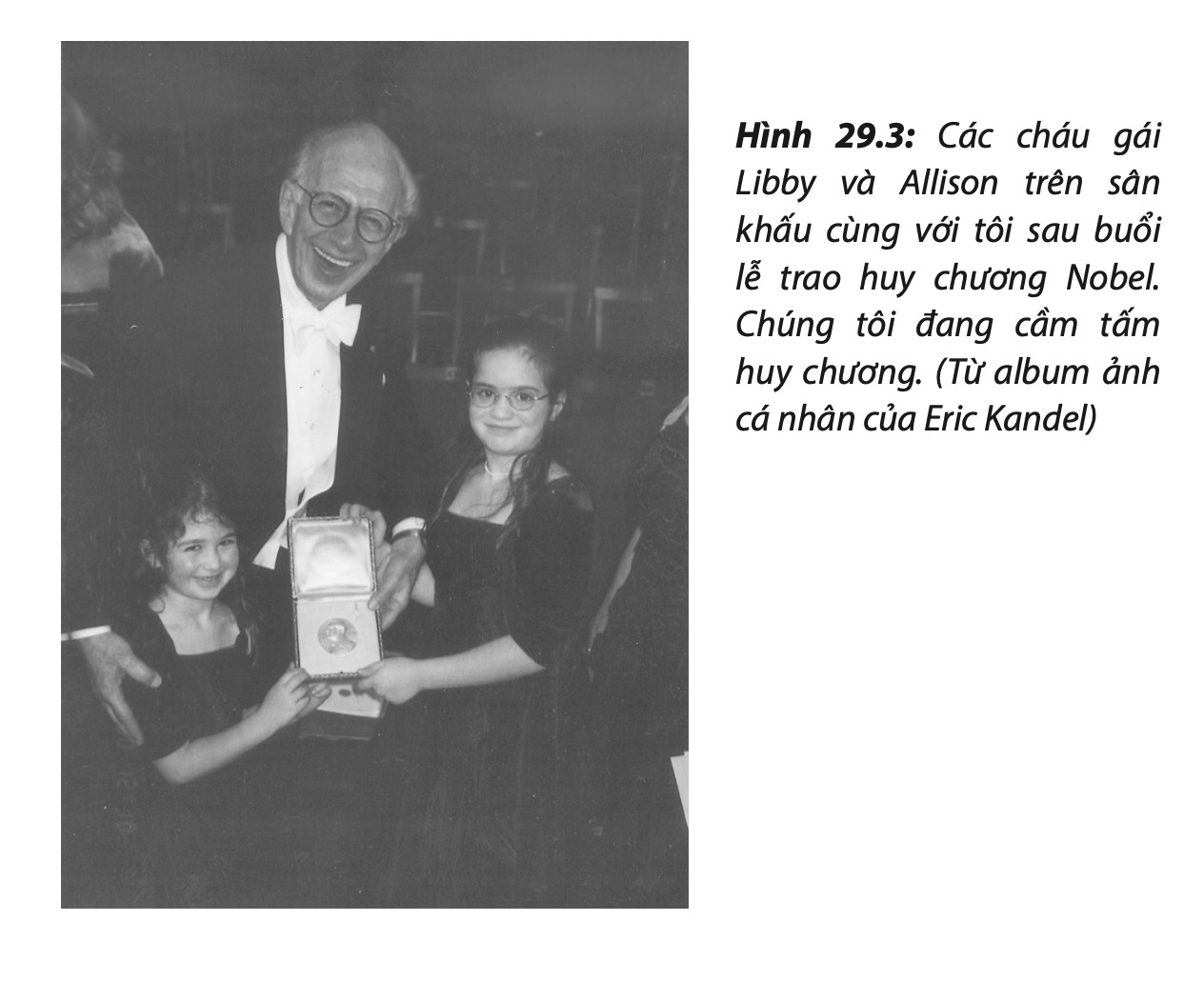 Lần Theo Dấu Ký Ức