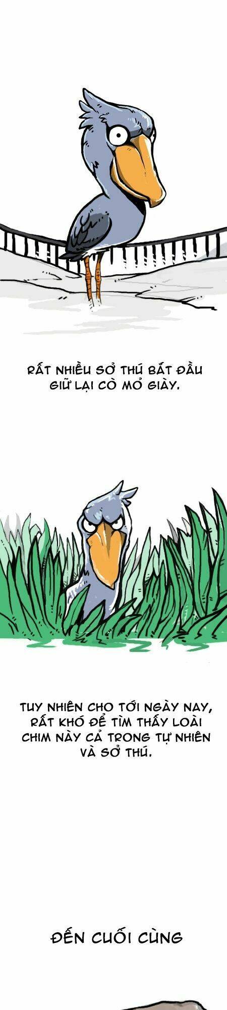 earth, human, and animal chapter 14 22