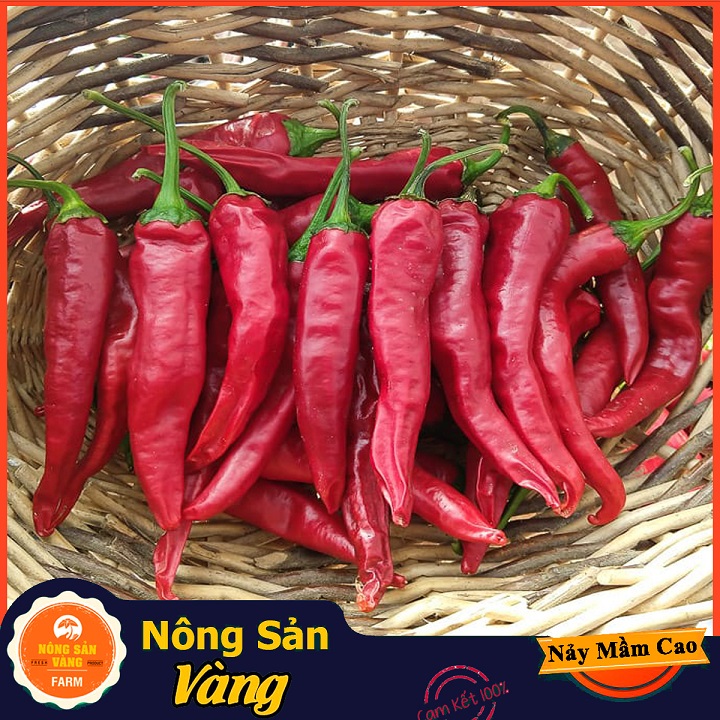 Hạt giống Ớt Hiểm - Nông Sản Vàng