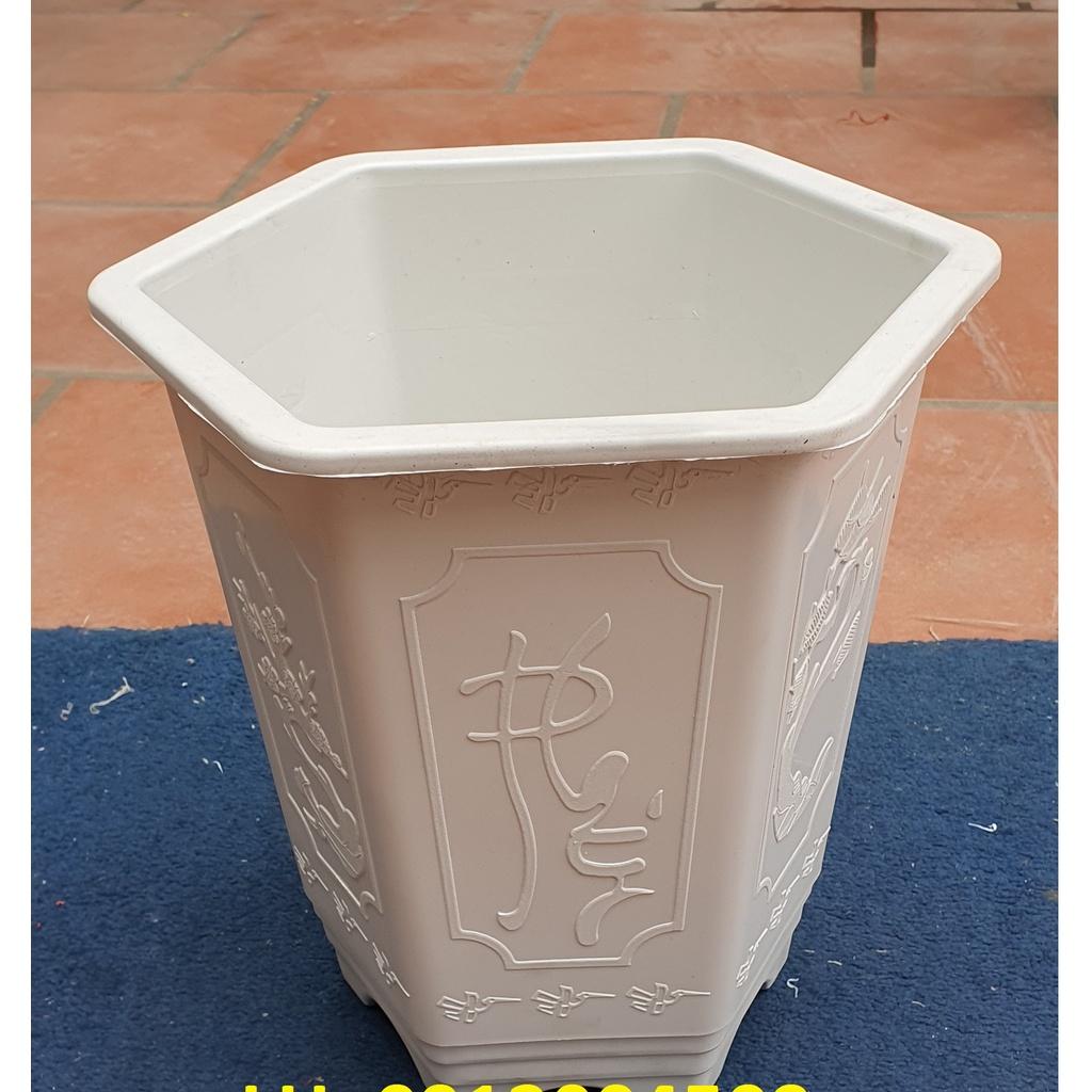 Chậu nhựa Lục giác cao LA 280 đa sắc màu