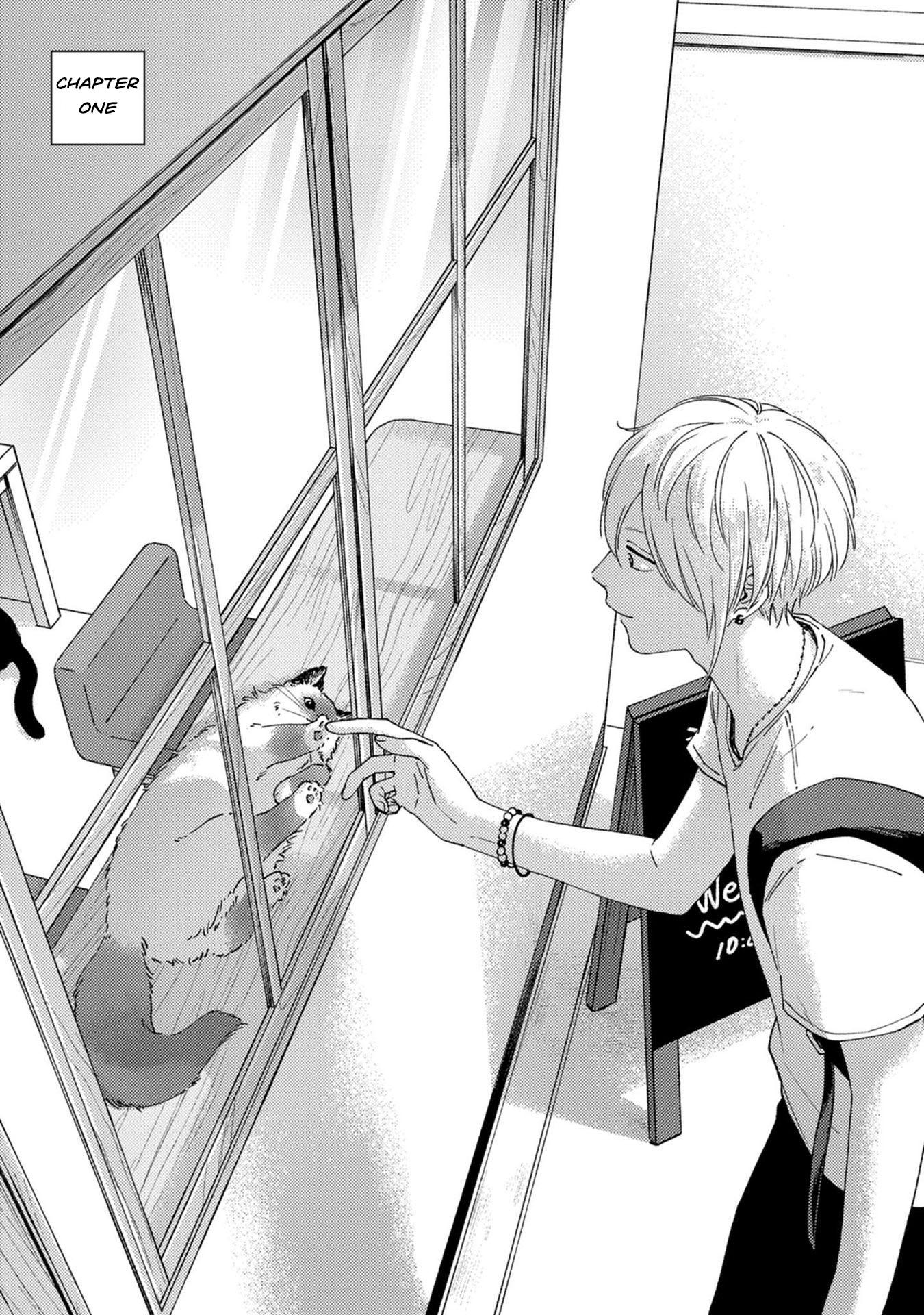 koi kirari, kage sururi chapter 1 2