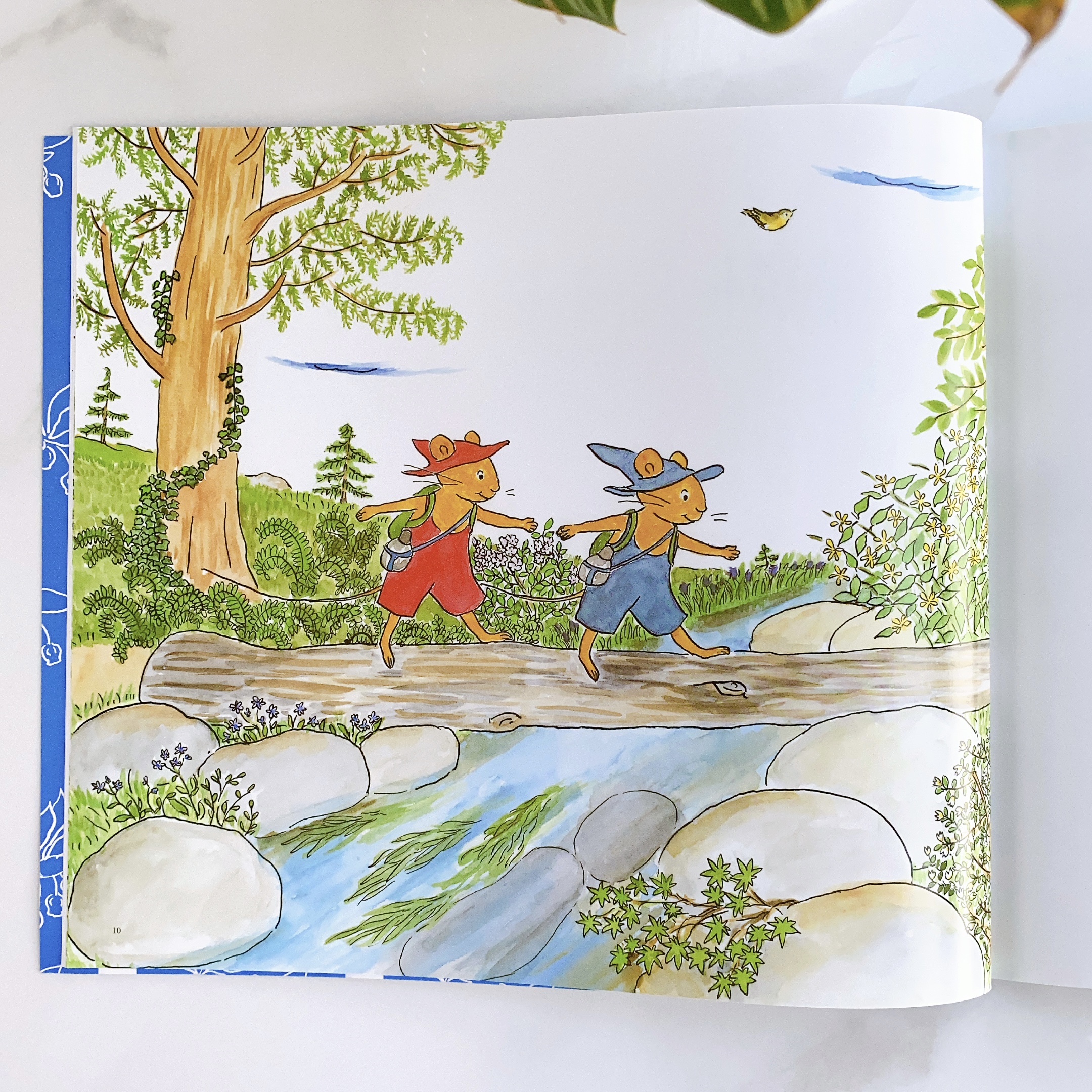 Ehon - Phát triển quan sát - Bài ca 12 tháng của Gư-ri và Gư-ra - cho bé 3-6 tuổi