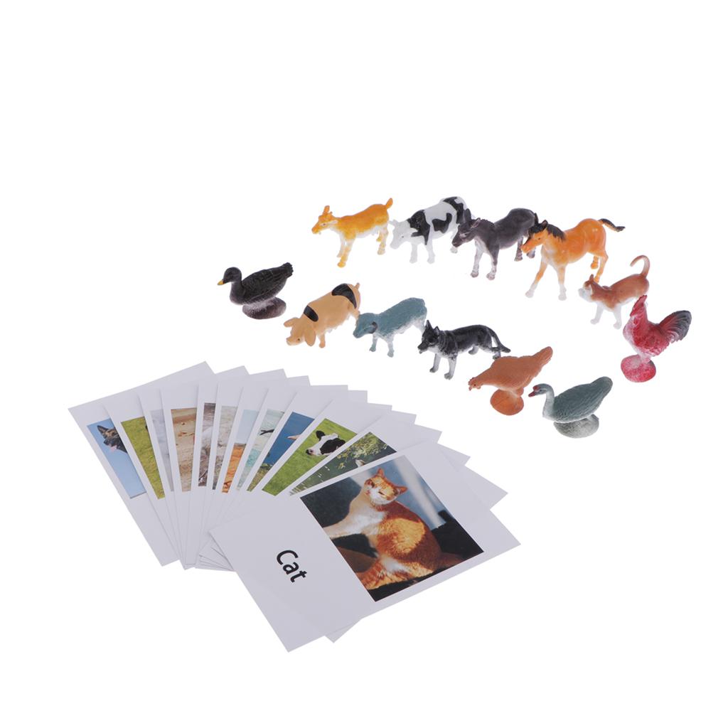 Education Toy Poultry Animals Model Naming Cards for Montessori Education