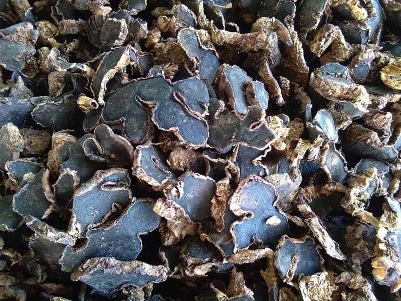 Cây Gừng đen - Củ gừng đen - Khô 200gr