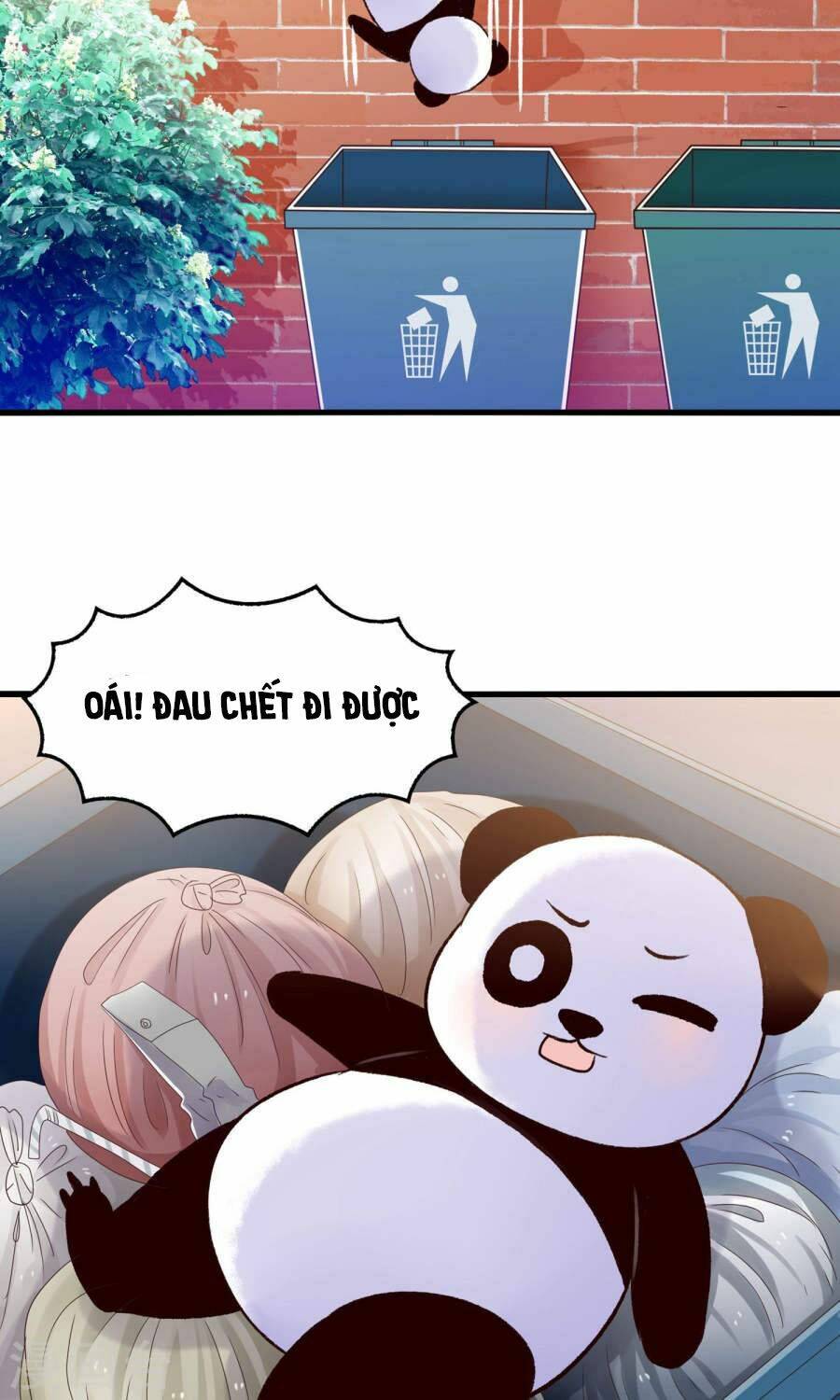 tôi bị gấu trúc nhìn trúng rồi chapter 11 14