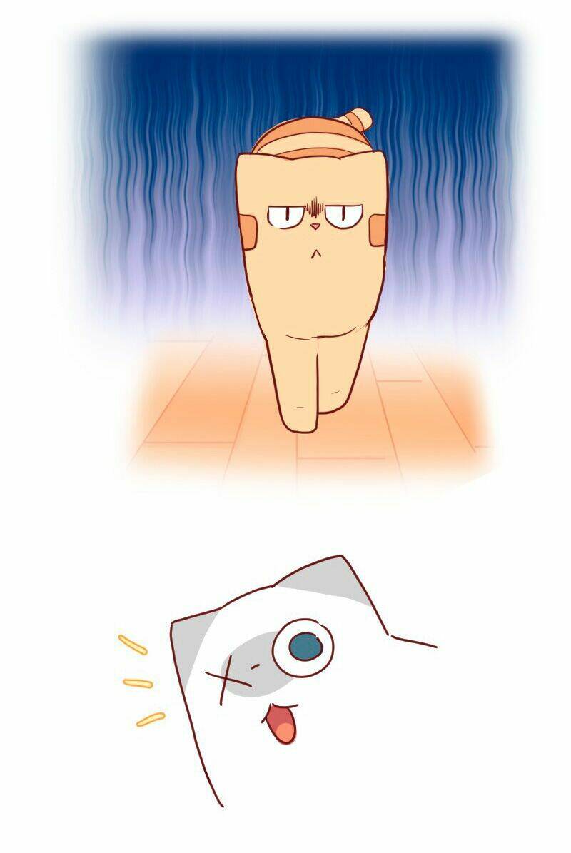 saphie: chú mèo một mắt chapter 22 10