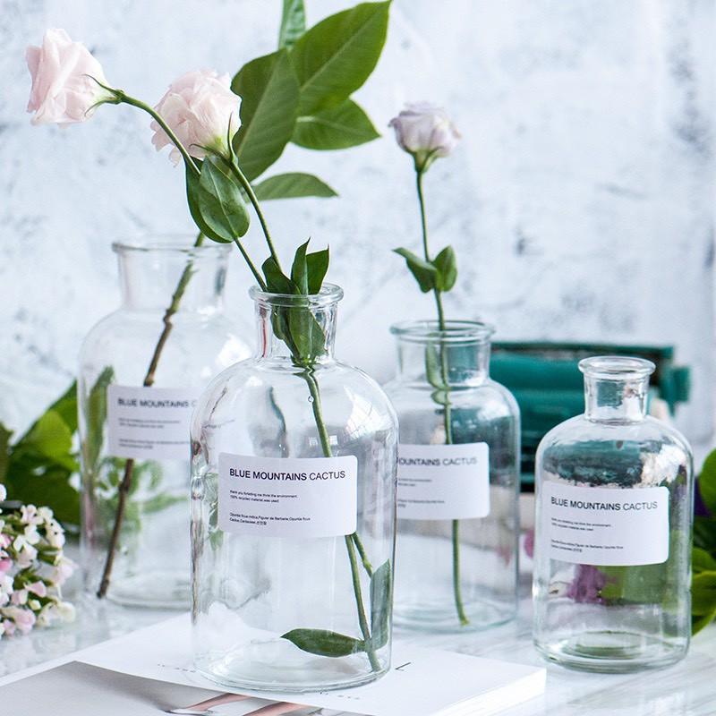 Bình hoa thủy tinh ️️ Scandinavian bình hoa trưng bày đẹp tinh tế có kèm nơ