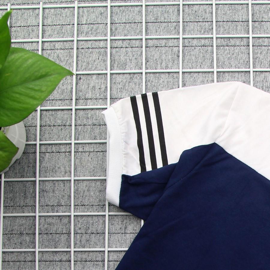 Áo thun nam trắng xanh có cổ GN203 Gấu Nâu