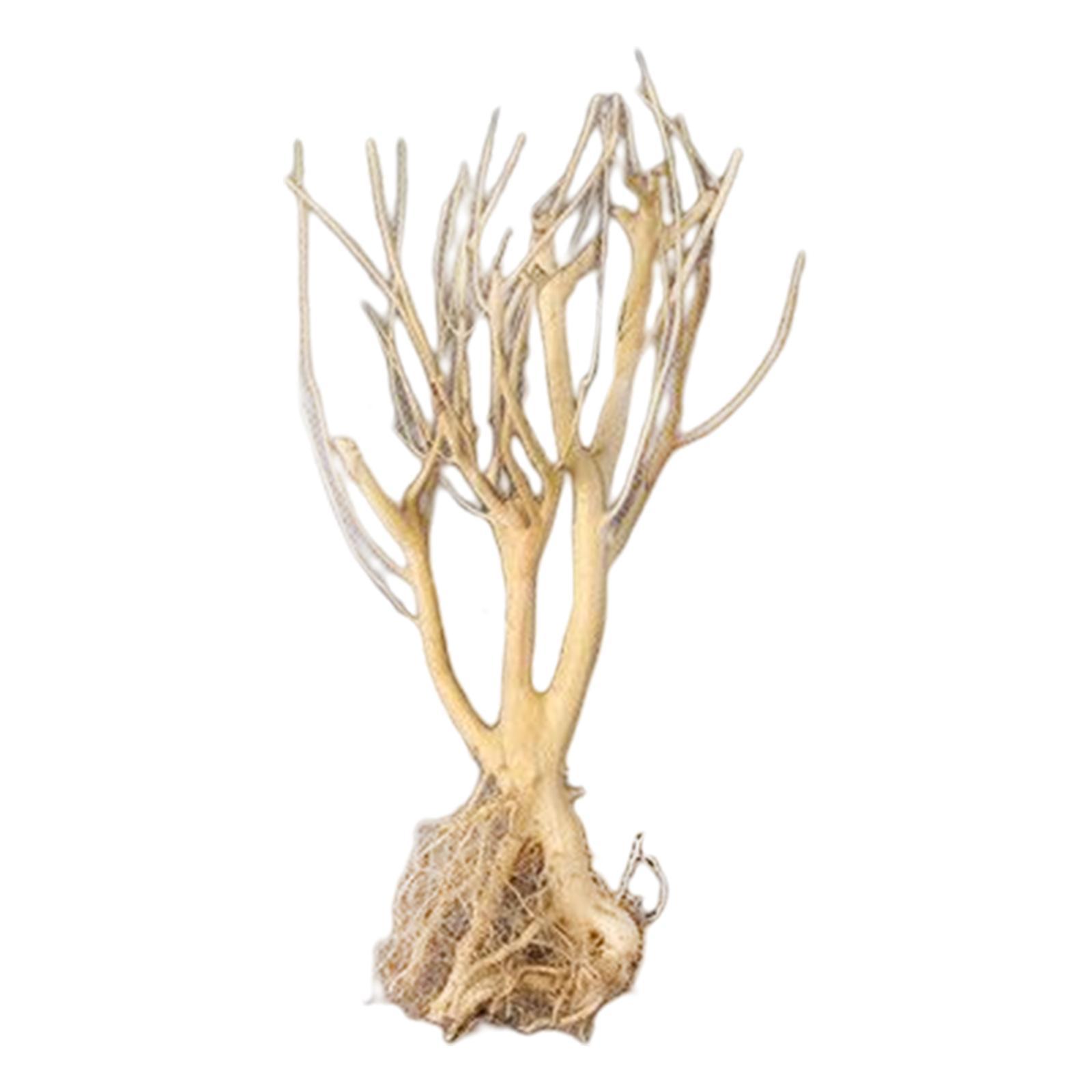 Aquatic  Aquarium Driftwood  Trunk Tree Branch Terrarium Decor