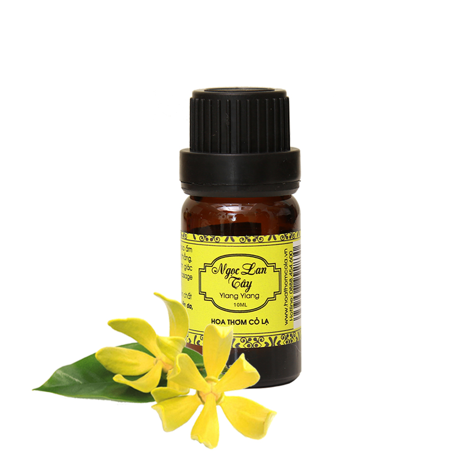 Tinh Dầu Ngọc Lan Tây - Ylang Ylang Essential Oil - Hoa Thơm Cỏ Lạ