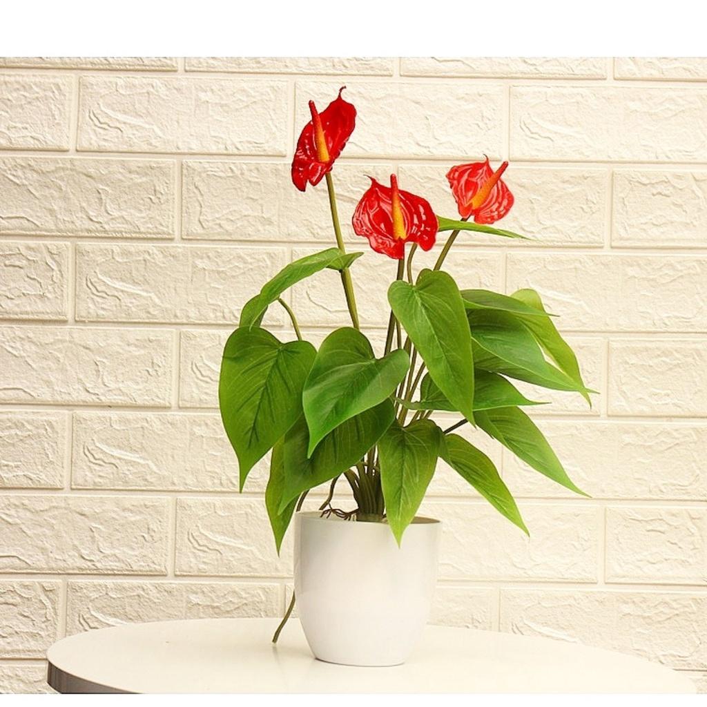 Chậu cây nhỏ trang trí nhà cửa, để tủ, cửa hàng, quán... Cây giả kèm chậu