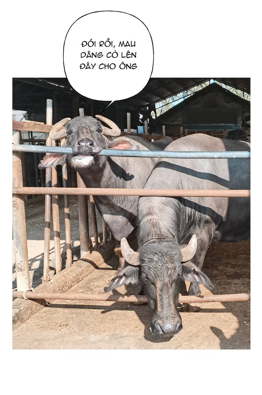 đừng nói yêu tôi chapter 33.1 21