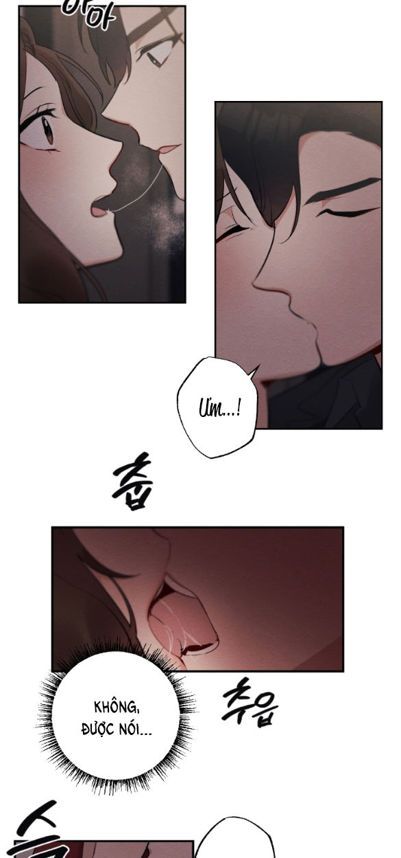 [18+] hôn nhân bị đánh cắp chapter 1.2 22