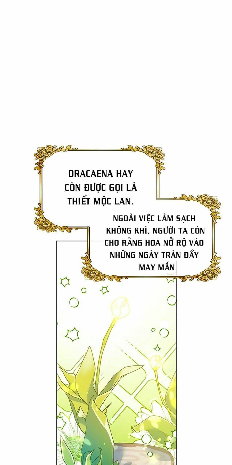 khu vườn im lặng chapter 10 9