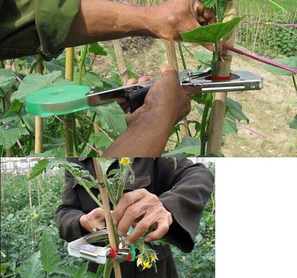 10 Rolls Red Sturdy Stretch Tie Tape 82ft Plant Garden In/Outdoor Decor