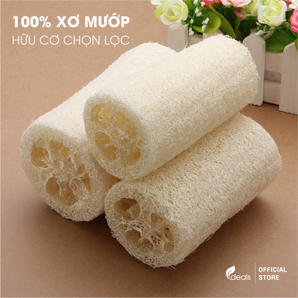 [PHIÊN BẢN MỚI] Bông Tắm Xơ Mướp Cao Cấp ECODEALS 100% Xơ Mướp Hữu Cơ - Xơ mướp loại 1, làm sạch cơ thể, tẩy da chết, massage linh hoạt - 1 cái - KT 11 x 16cm