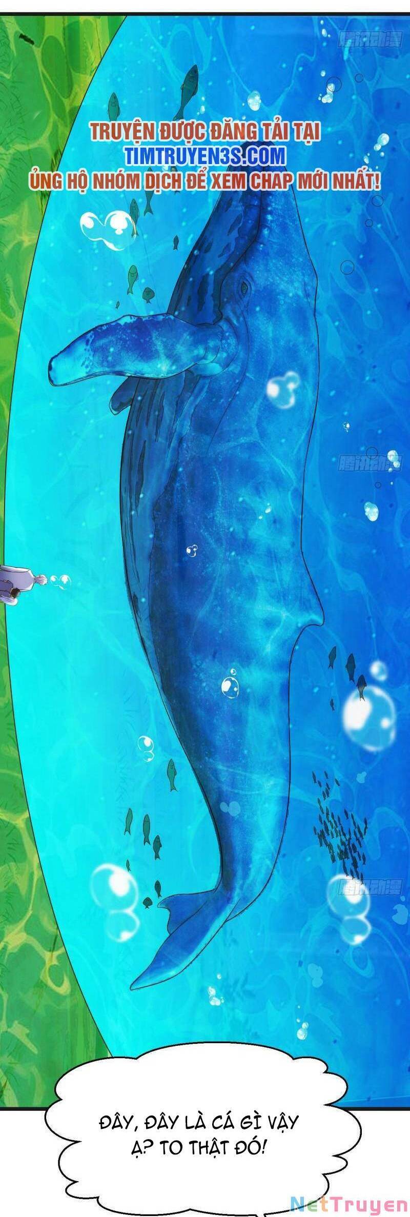 trước khi vô địch ta nợ tình quá nhiều chapter 59 9