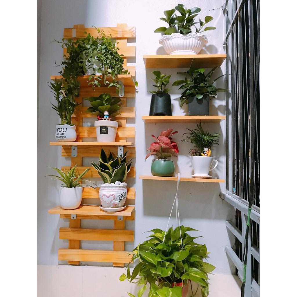 Kệ treo tường giá treo cây cảnh mini ngoài trời trang trí nhà cửa ban công chung cư 200x40 cm và 8 thanh ngang kết hợp