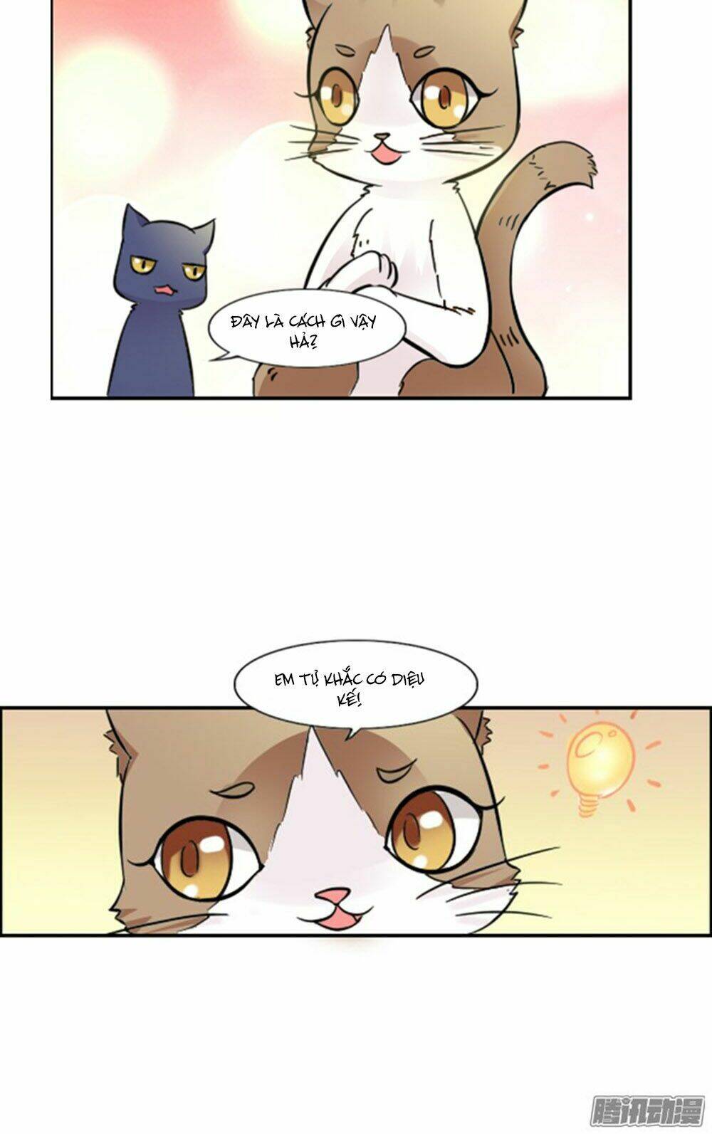 hai chú mèo totem chapter 9 16