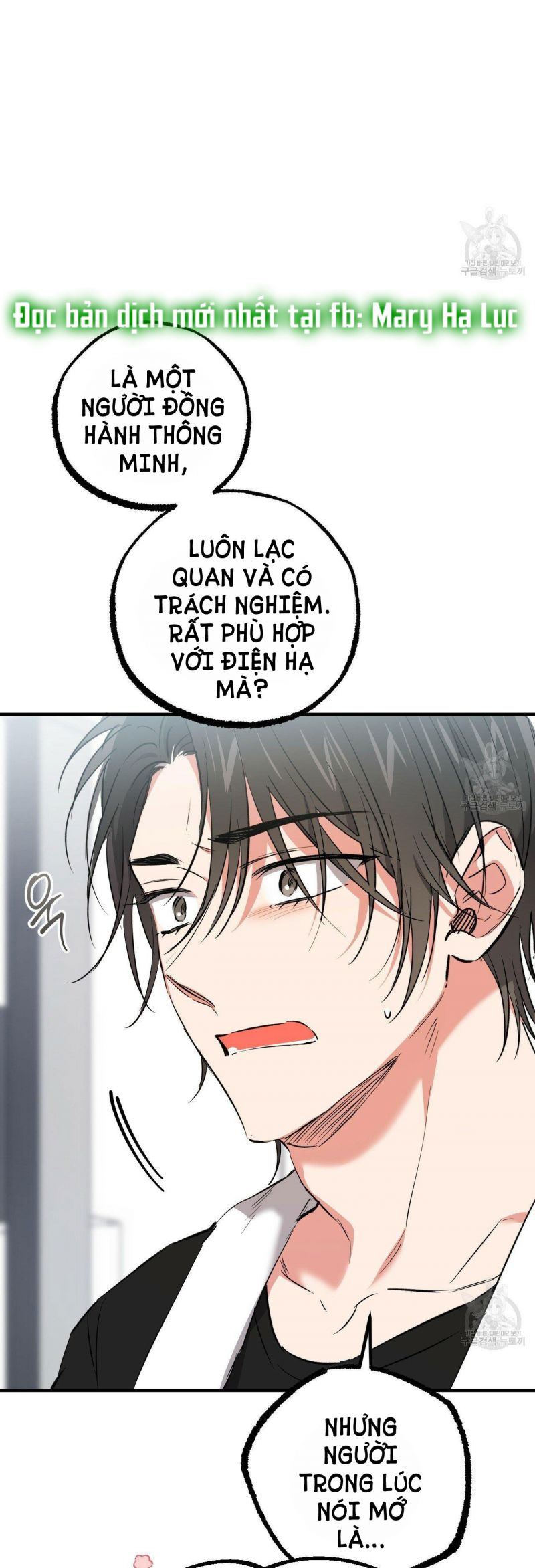 những chú thỏ của hapypy chapter 55.5 16