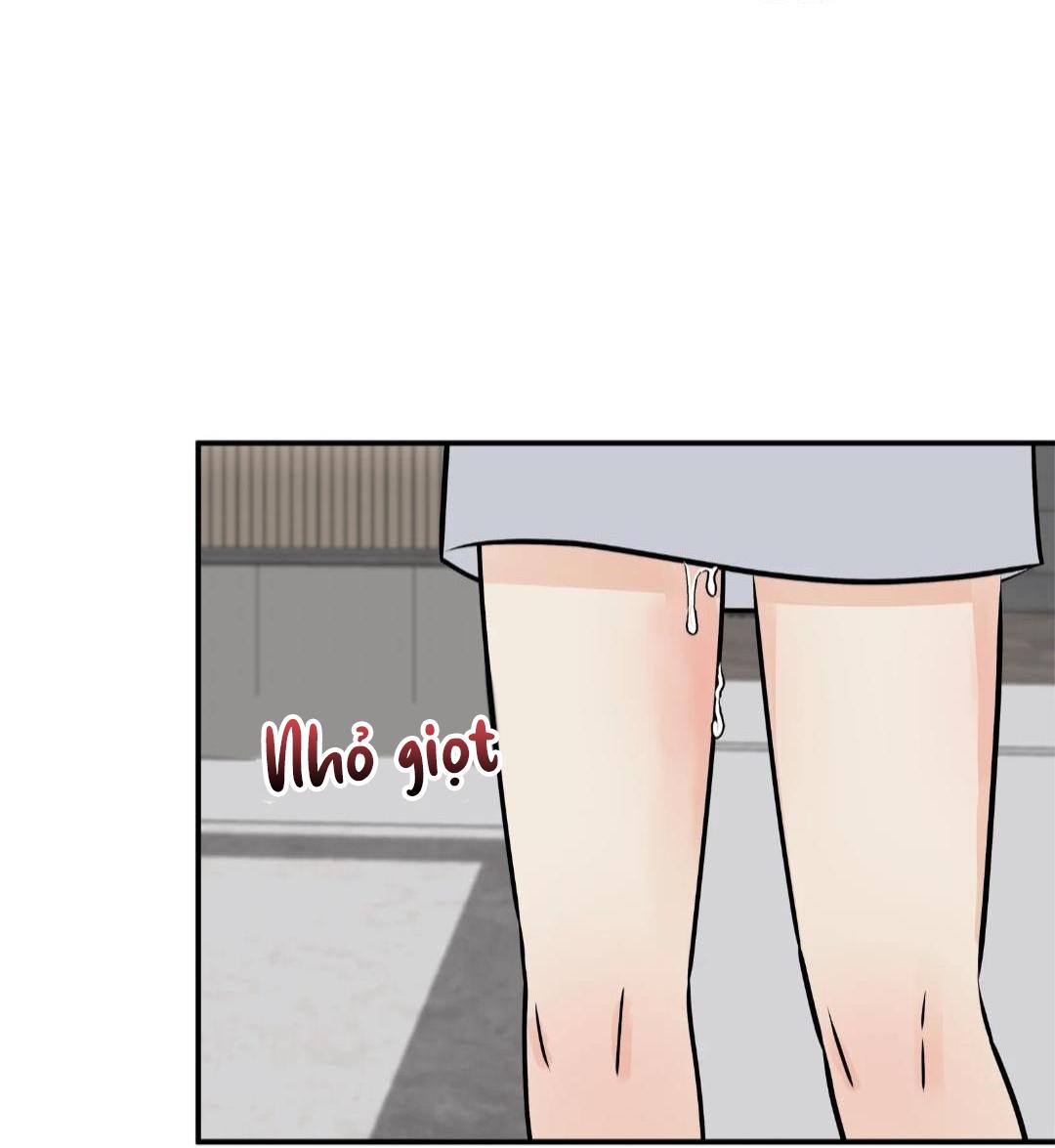 hạnh phúc trọn vẹn chapter 23 61