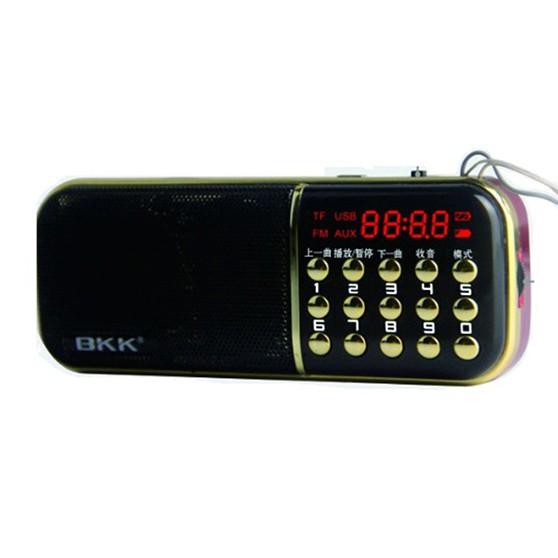 Loa Nghe Nhạc Usb Thẻ Nhớ FM BKK 851