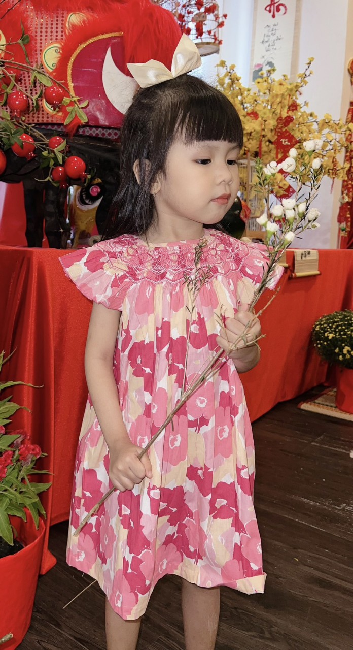 ĐẦM BÉ GÁI CỔ TRÒN THÊU MÓC XÍCH ĐÔ ÁO CÀI NÚT SAU