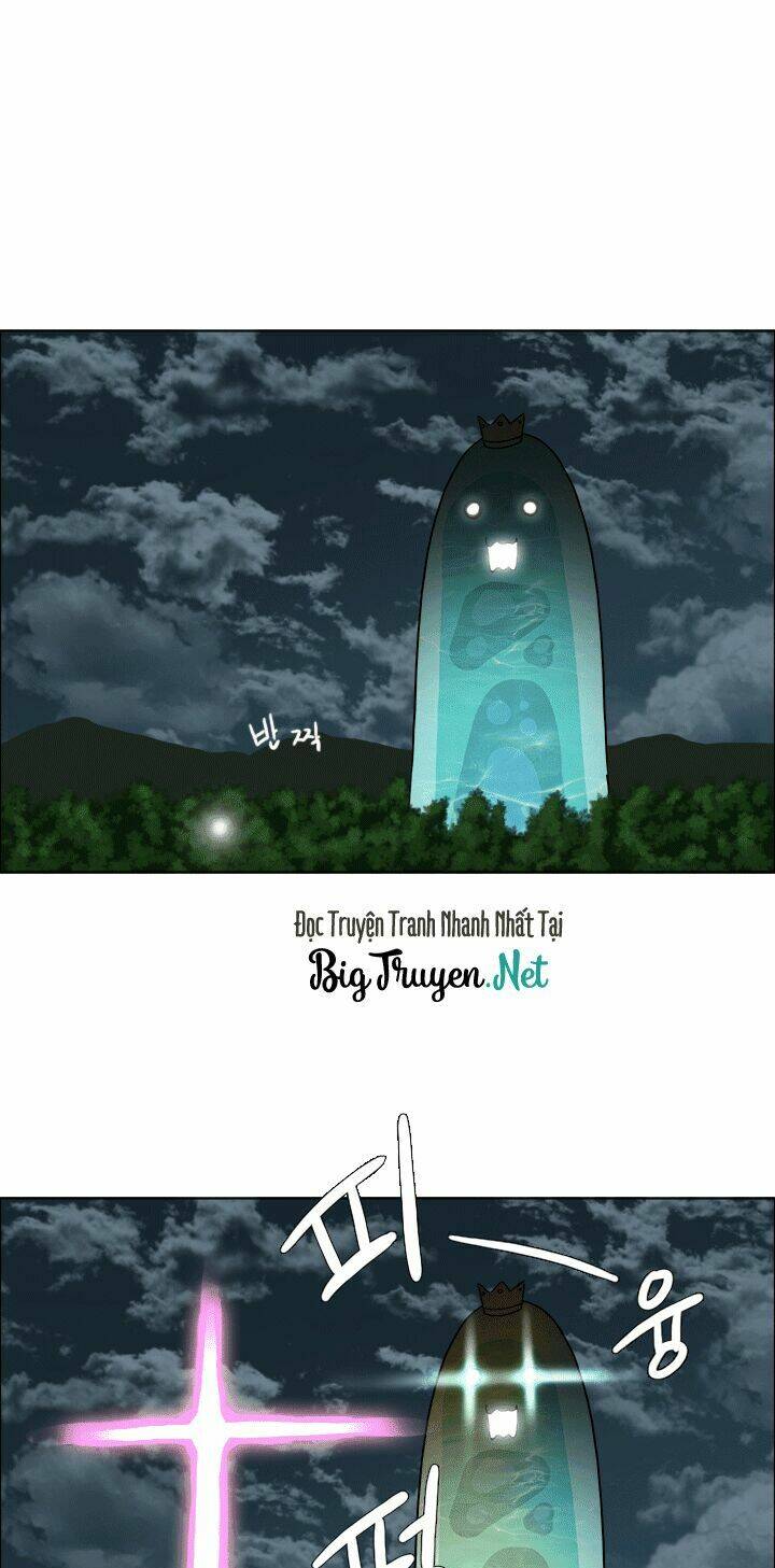 m. m. g. chapter 8 28