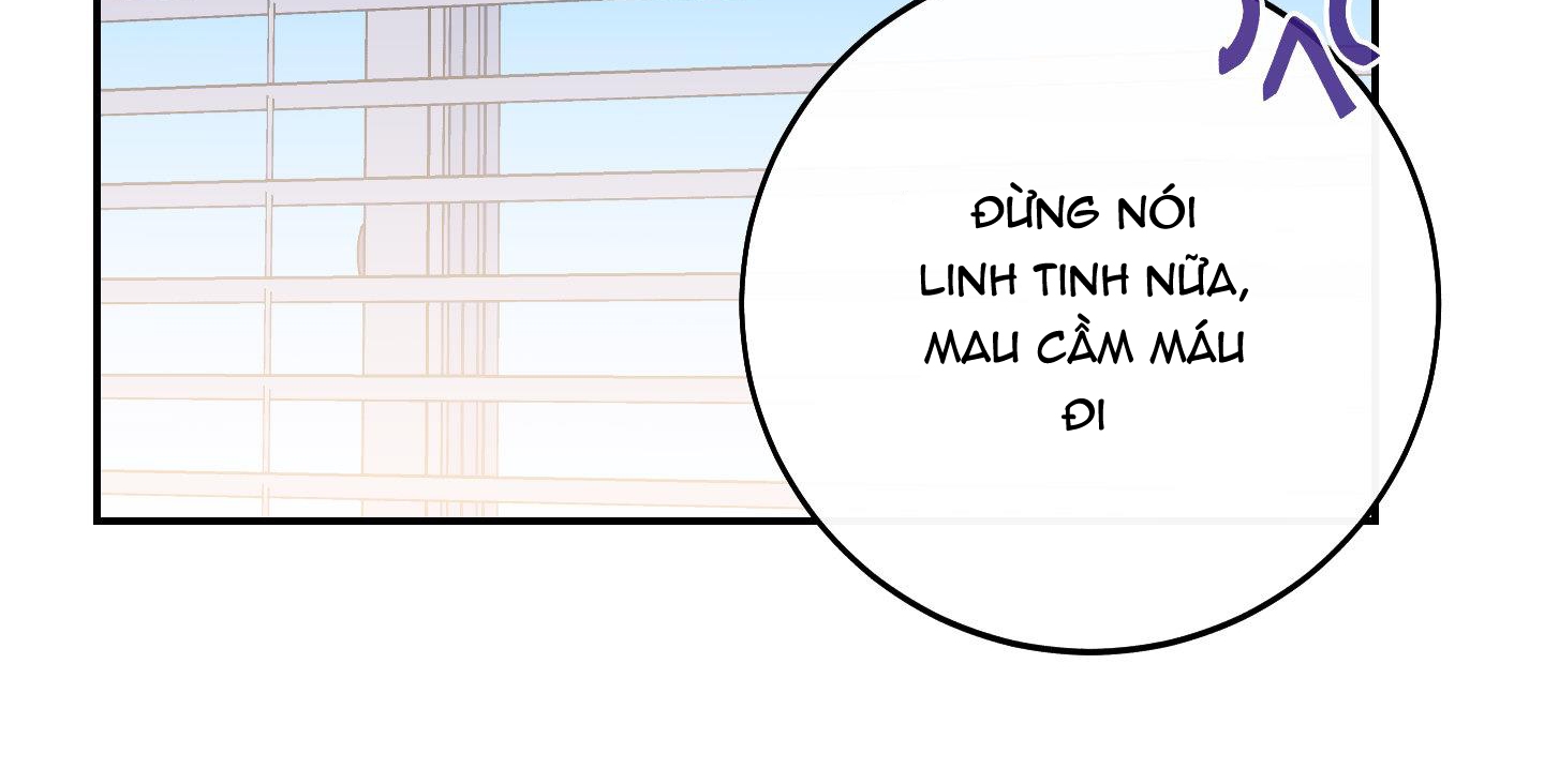 lãng mạn giả dối chapter 10 80